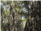 10 Calm Waters Crescent, Macleay Island QLD 4184