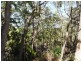 10 Calm Waters Crescent, Macleay Island QLD 4184