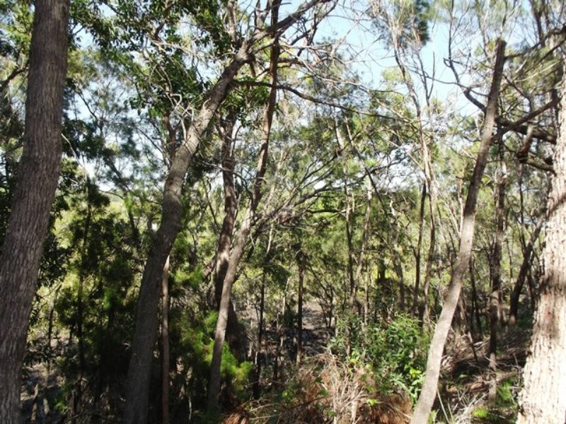 10 Calm Waters Crescent, Macleay Island QLD 4184