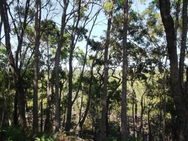 10 Calm Waters Crescent, Macleay Island QLD 4184