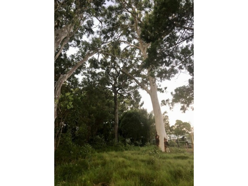 47 Treasure Island Avenue, Karragarra Island QLD 4184