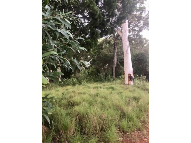 47 Treasure Island Avenue, Karragarra Island QLD 4184