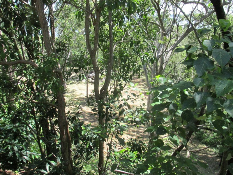 29 Cliff Terrace, Macleay Island QLD 4184