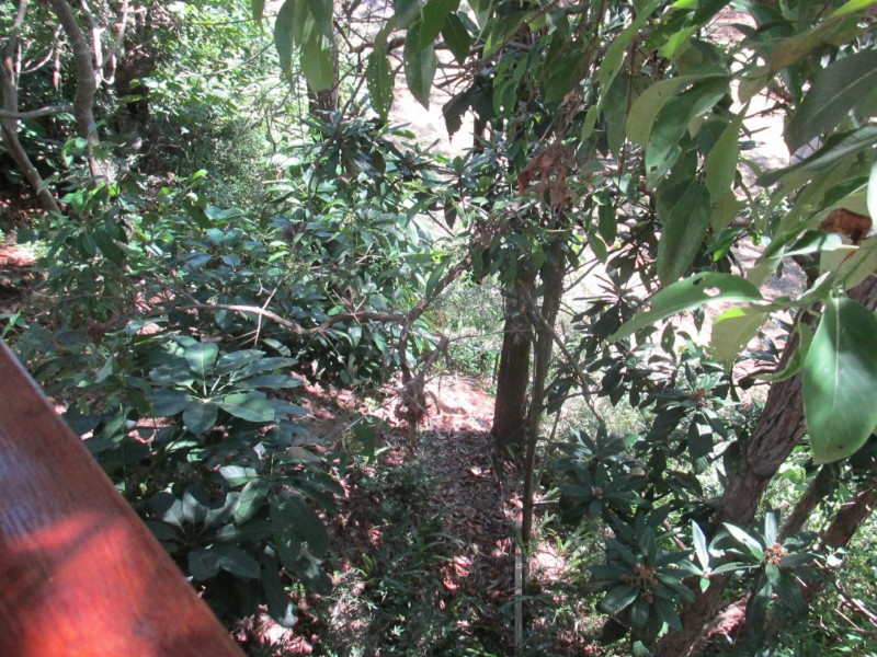 29 Cliff Terrace, Macleay Island QLD 4184