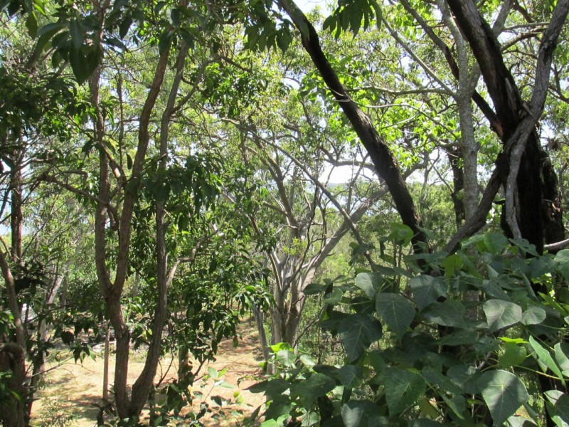 29 Cliff Terrace, Macleay Island QLD 4184