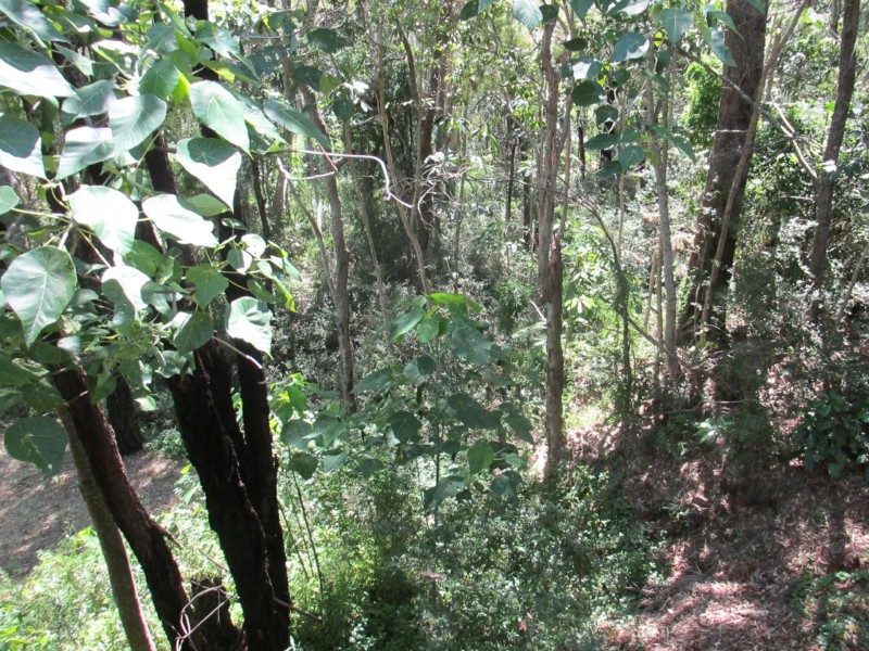 29 Cliff Terrace, Macleay Island QLD 4184