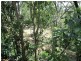 29 Cliff Terrace, Macleay Island QLD 4184