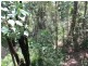 29 Cliff Terrace, Macleay Island QLD 4184