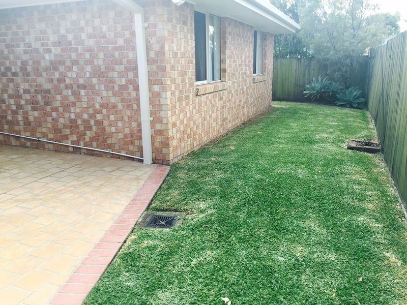 55 Bruce Avenue, Paradise Point QLD 4216