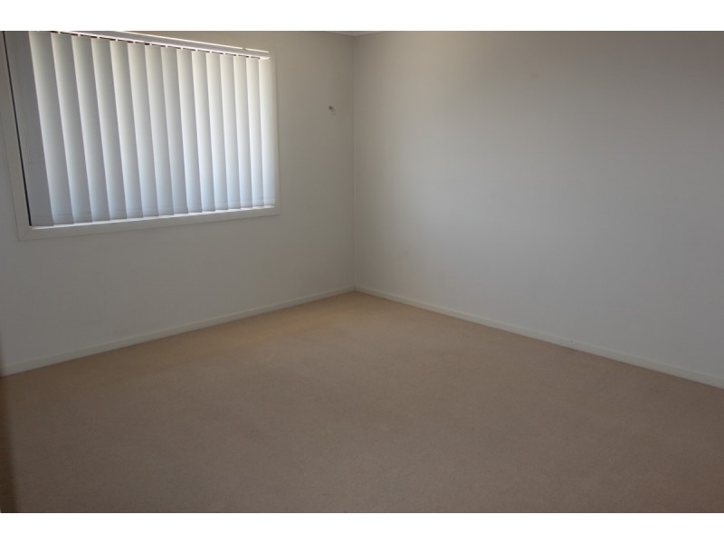 17 Orlando Street, Coomera QLD 4209