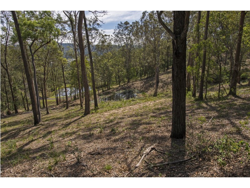 181 Brygon Creek Drive, Upper Coomera QLD 4209