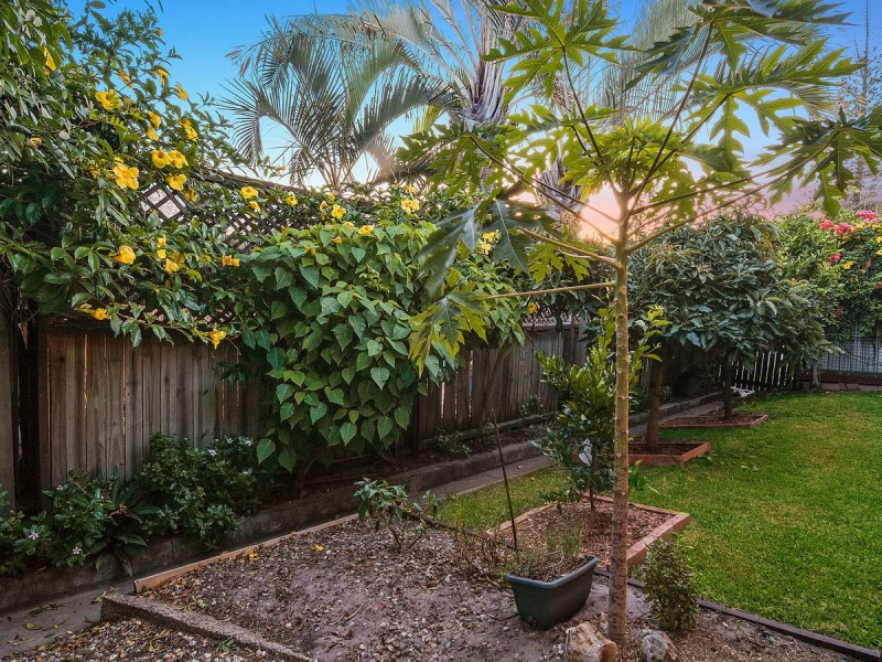 10 Gladiolus Court, Hollywell QLD 4216