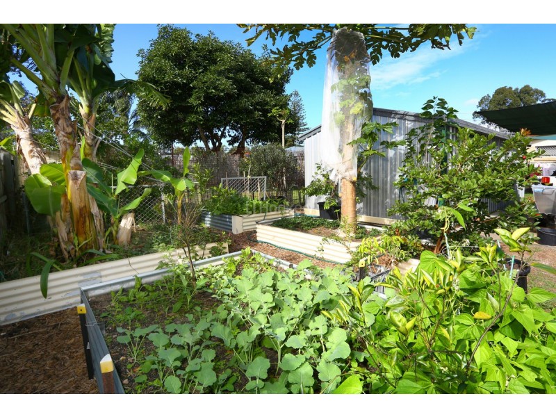 14 Nalkari Street, Coombabah QLD 4216