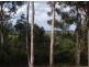103 Guara Grove, Pimpama QLD 4209