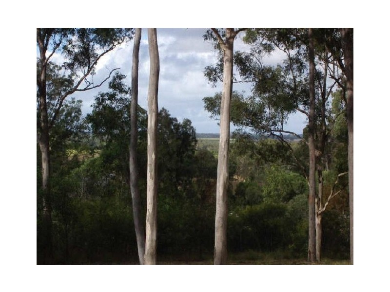 103 Guara Grove, Pimpama QLD 4209