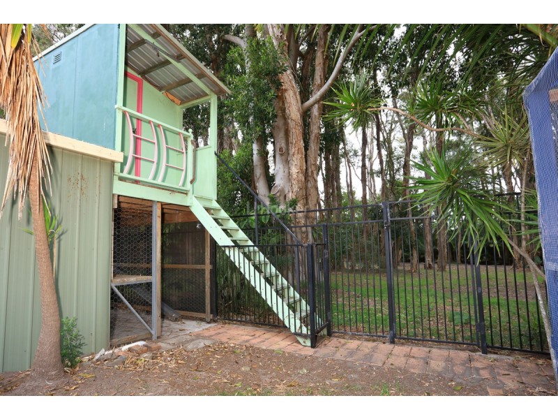 65 Nalkari Street, Coombabah QLD 4216