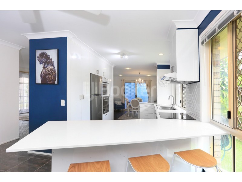 27 Numbat Court, Coombabah QLD 4216