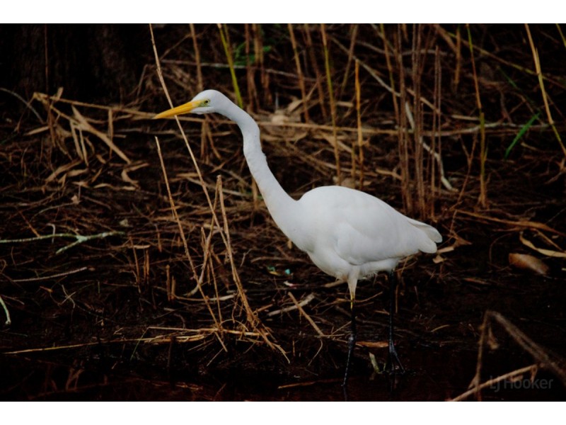 21 Siena Place, Coombabah QLD 4216