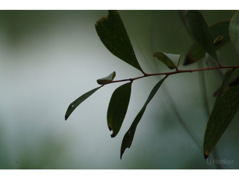 21 Siena Place, Coombabah QLD 4216