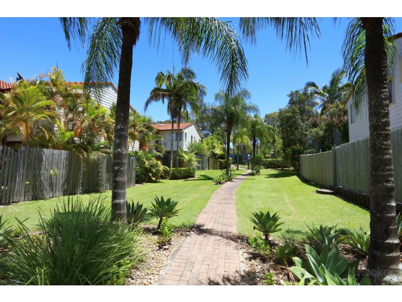 31/601 Pine Ridge Road, Biggera Waters QLD 4216