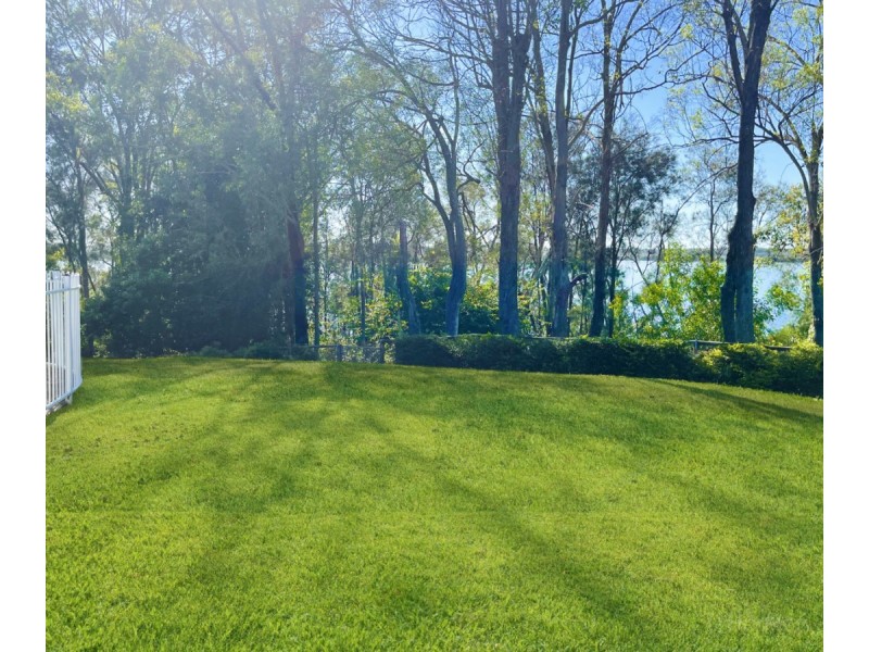 19 Boreen Court, Helensvale QLD 4212