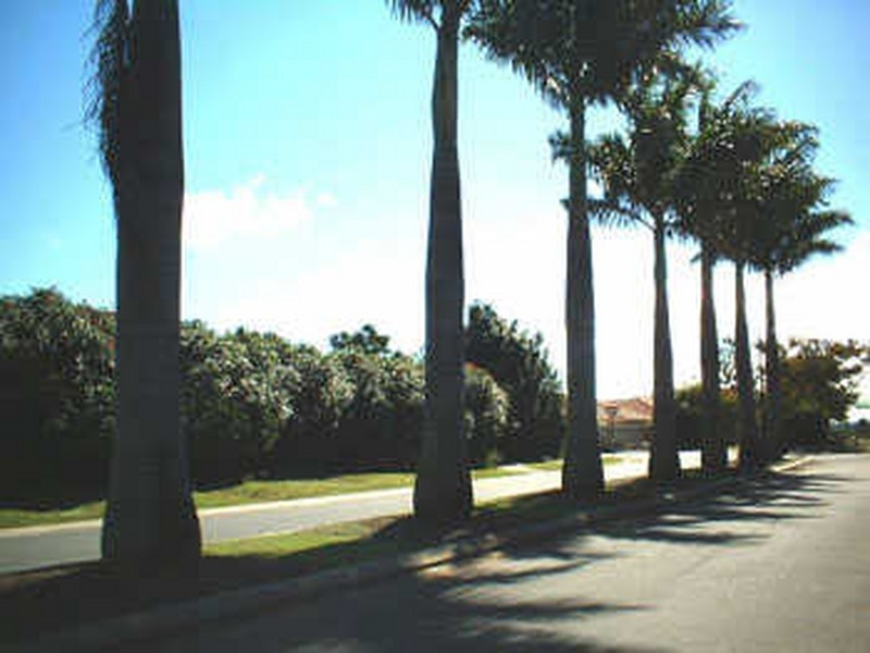 77 Riverlink Grove, 2 Anaheim Drive, Helensvale QLD 4212