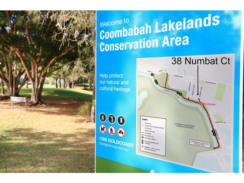 38 Numbat Court, Coombabah QLD 4216