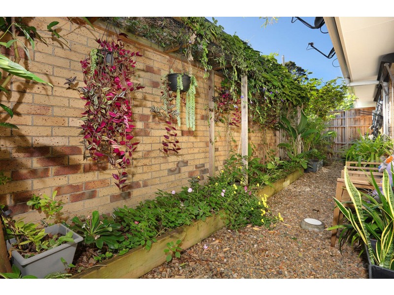 9 Numbat Court, Coombabah QLD 4216