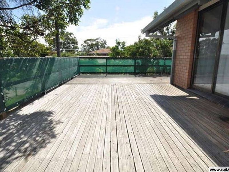 36 Shoveller Avenue, Paradise Point QLD 4216