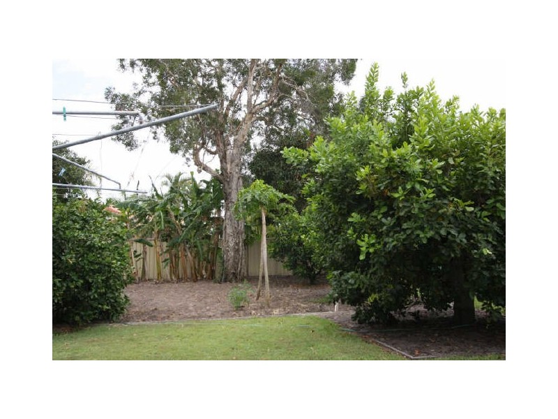 Hollywell QLD 4216
