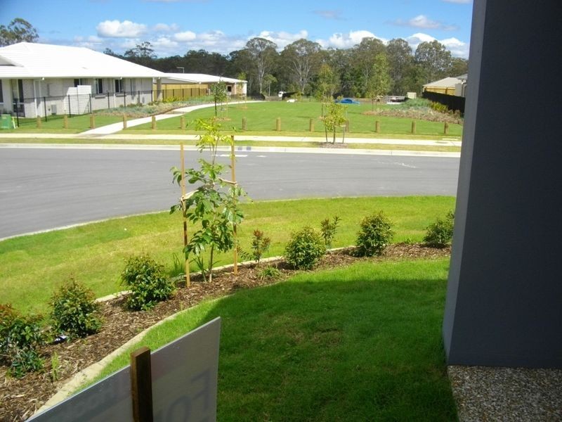 53 Collingrove Street,, Pimpama QLD 4209