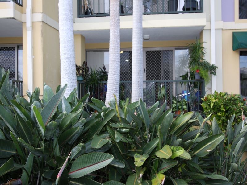 2/14 Jennifer Avenue, Runaway Bay QLD 4216