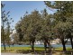6 Mallard Avenue, Paradise Point QLD 4216
