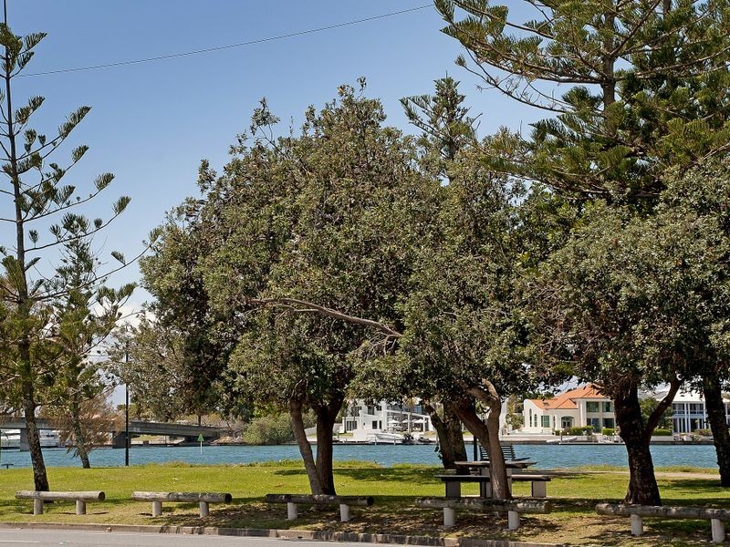 6 Mallard Avenue, Paradise Point QLD 4216