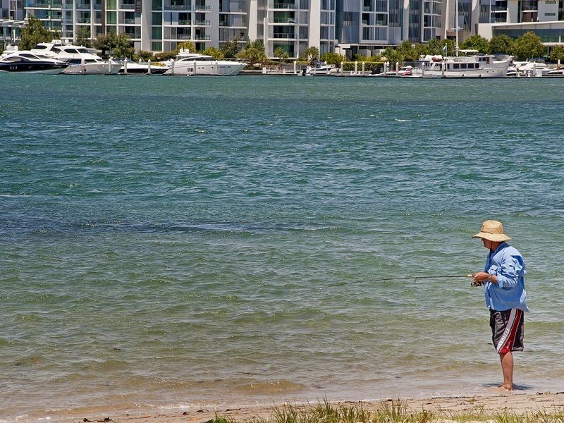 6 Mallard Avenue, Paradise Point QLD 4216