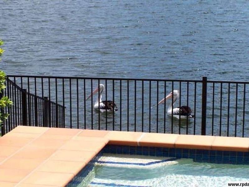 515 Oyster Cove Promenade, Helensvale QLD 4212