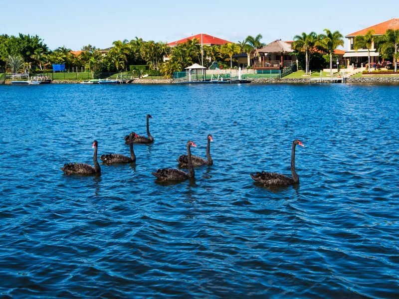 124 The Peninsula, Helensvale QLD 4212