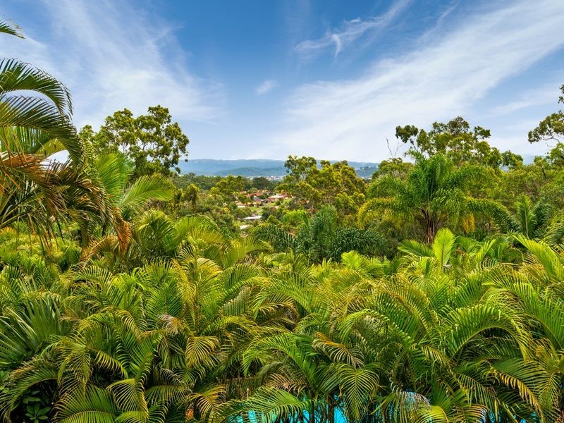 45 Uplands Drive, Parkwood QLD 4214