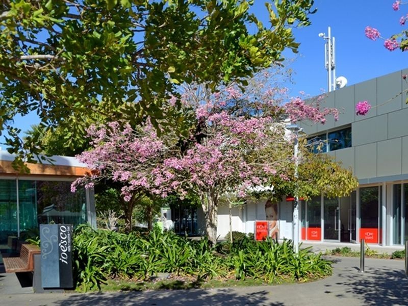 23 Jingella Street, Hope Island QLD 4212