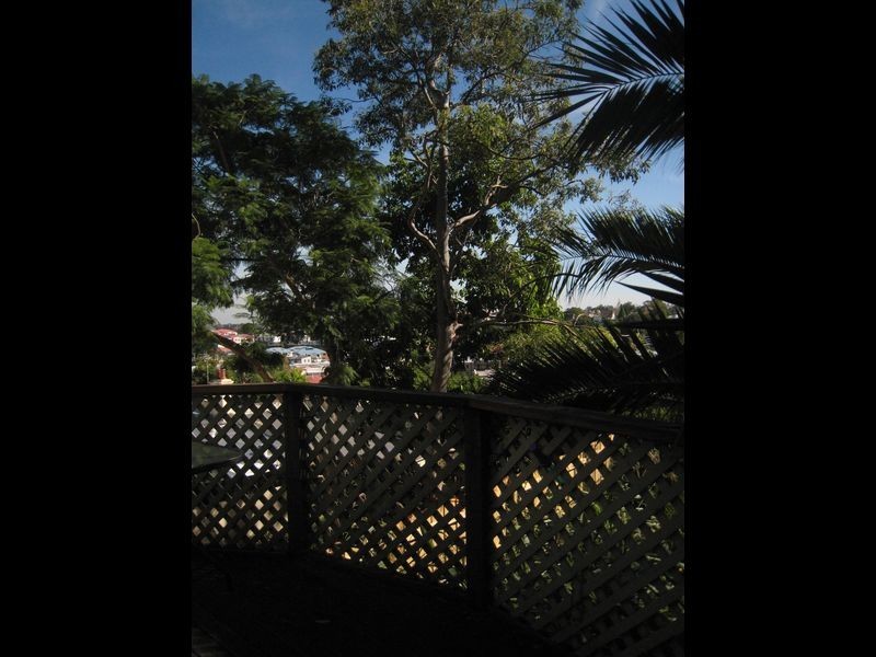 43 Booth Street, Balmain NSW 2041