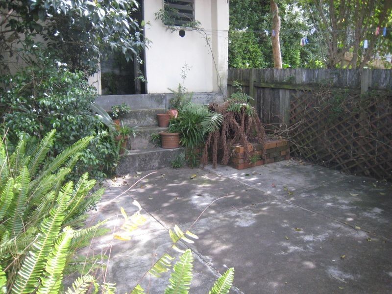 6 Pashley Street, Balmain NSW 2041