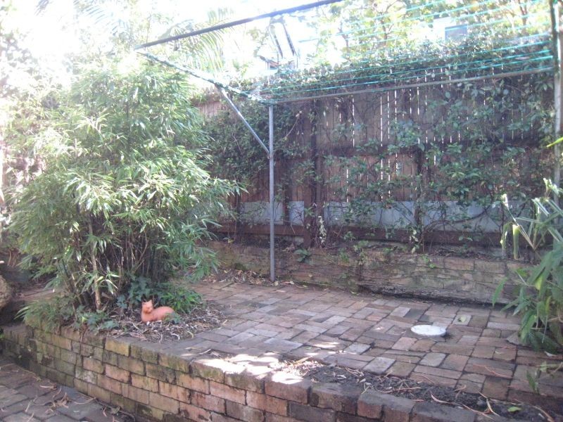 4 St Andrews Street, Balmain NSW 2041