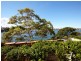 5/45 Wharf Road, Birchgrove NSW 2041