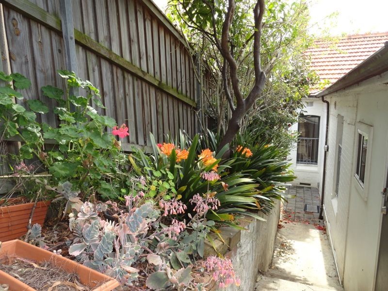 24 Glassop Street, Balmain NSW 2041