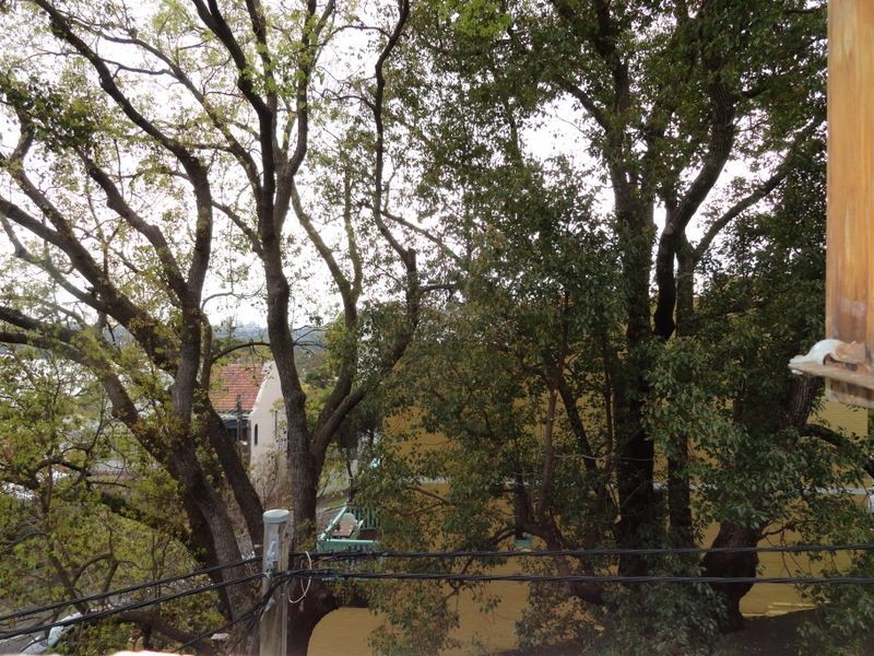 6 Punch Street, Balmain NSW 2041