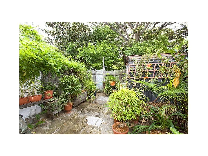16 Prosper Street, Rozelle NSW 2039