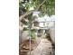 132 Mullens Street, Balmain NSW 2041