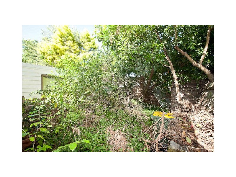 31 Belmore Street, Rozelle NSW 2039