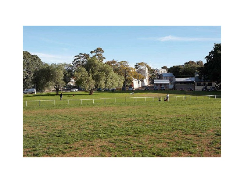 34 Burt Street, Rozelle NSW 2039