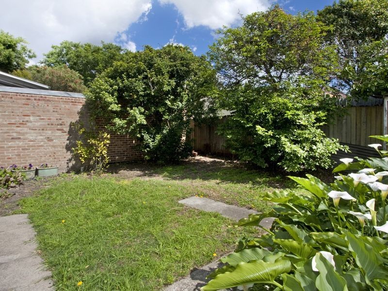 11 Callan Street, Rozelle NSW 2039